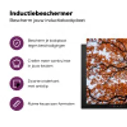 Boom - Bladerdak - Herfst - Oranje - Sfeervol Inductie beschermer vinyl 3mm klein -zzzzzzz-cc-usp