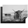 Schotse Hooglander in Monochroom Inductie beschermer vinyl 3mm klein -3d