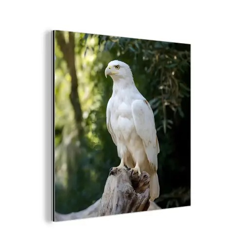 Arend - Hout - Wit - Planten aluminium wit klein -3d