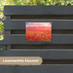 Rode klaprozen in de ochtendzon tuinposter los doek klein -sfeer3