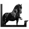 Fries - Hengst - Modern Inductie beschermer vinyl 3mm middel -3d