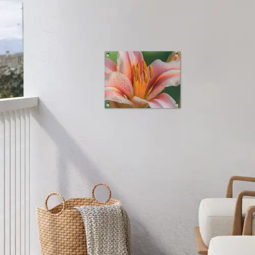 Lelie - Close up - Lichtroze tuinposter los doek klein -sfeer8