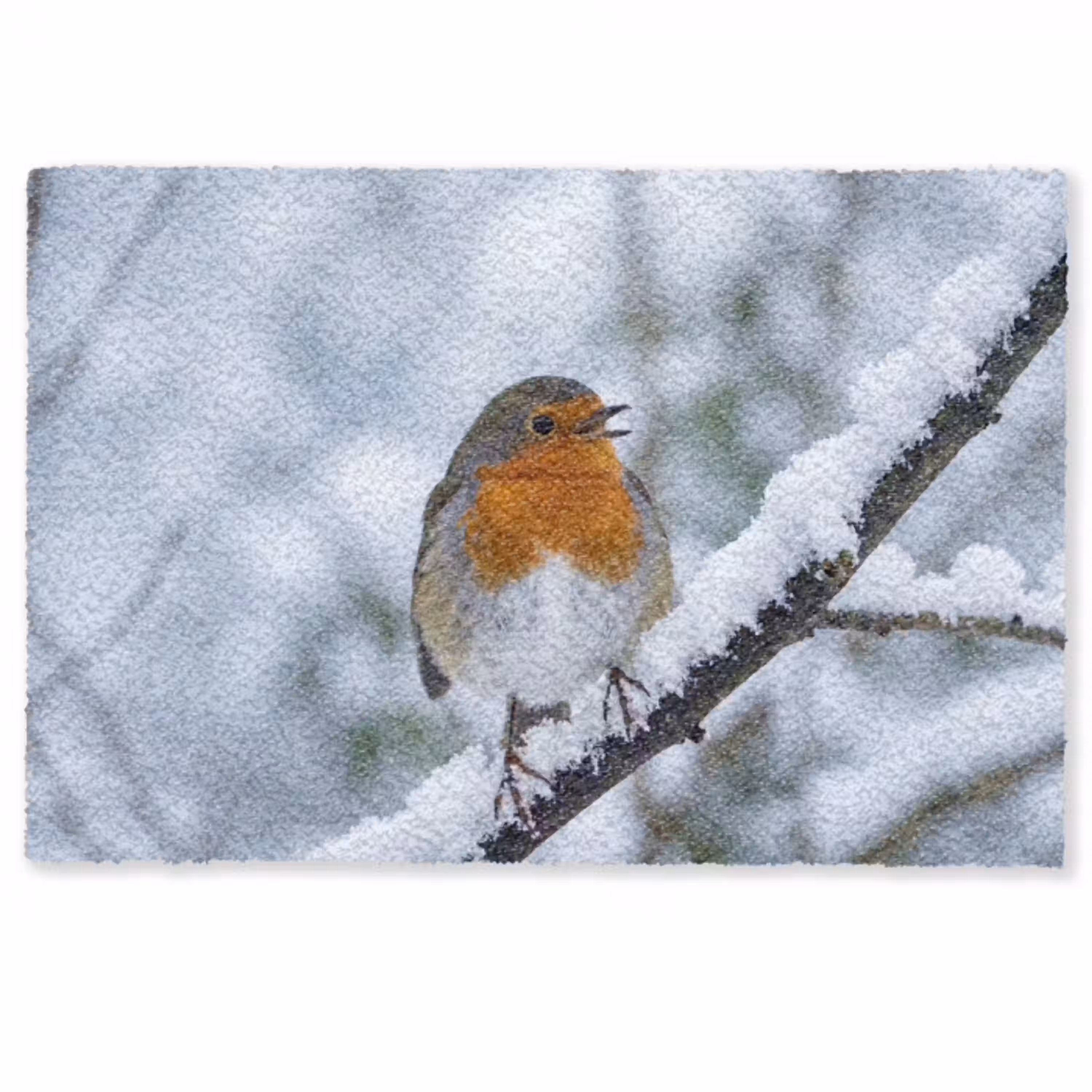 Roodborstje - Tak - Sneeuw - Winter - Levendig Deurmat klein -zkaufland3d