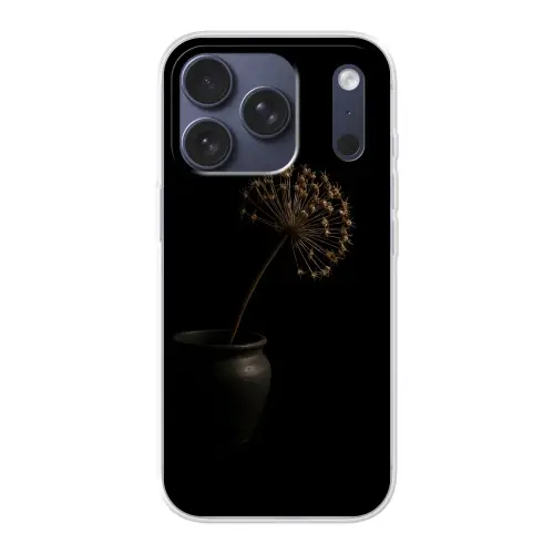 Bol - Gedroogd - Vaas - Zwart Telefoonhoesje iPhone 17 Pro klein -3d