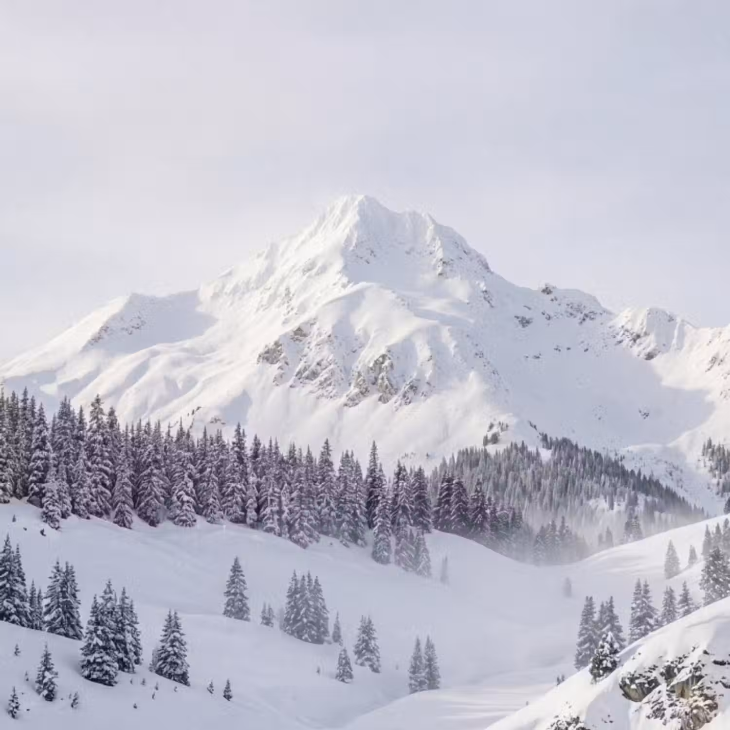 Behang - Berg - Sneeuw - Winter - Natuur - Wit