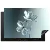 Kristal - Bloemen - Grijs Inductie beschermer vinyl 3mm klein -3d