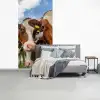 Koeien - Dieren - Weiland - Natuur fotobehang vinyl groot -slaapkamer