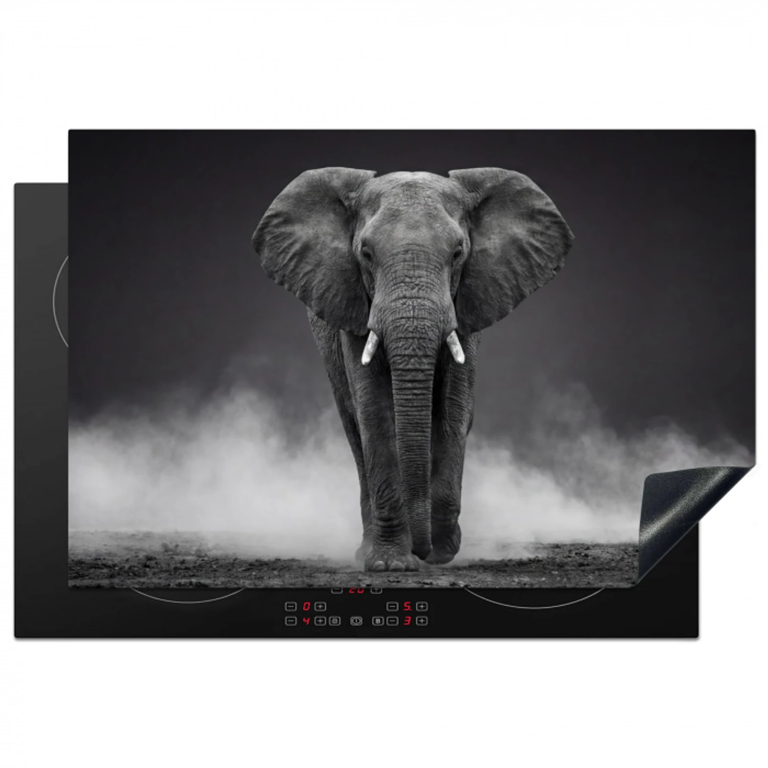 Olifant - Zwart - Wit - Rook Inductie beschermer vinyl 3mm klein -3d