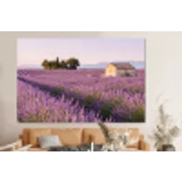 Lavendel - Landschap - Sereen - Paars forex 5mm xxl -bovenbank