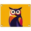 Uil - Grafisch - Kleurrijk - Ogen tuinposter los doek klein -3d