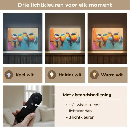 Vogels - Kleurrijk - Tak - Abstract Light Box met batterij (Wandlamp) middel -USP_lichtkleurNL