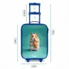 Hamster - Wortel - Dier Kinderkoffer - Blauw klein -productfoto_formaten