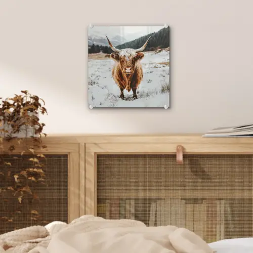 Schotse Hooglander - Landschap - Sneeuw - Bergen - Winter plexiglas 5mm klein -sfeer4