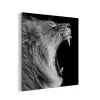 Dieren - Leeuw - Zwart - Wit - Portret aluminium wit klein -3d