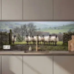 Schapen - Rij - Weide - Dieren - Platteland keuken achterwand 2 middel zz_3dshopping