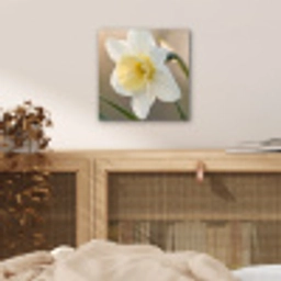 Narcis - Bloem - Minimalistisch aluminium wit klein -sfeer3