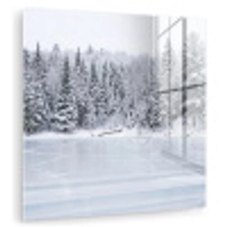 Meer - Dennen - IJs - Winter - Rustgevend plexiglas 5mm klein -zzzproduct_nieuw