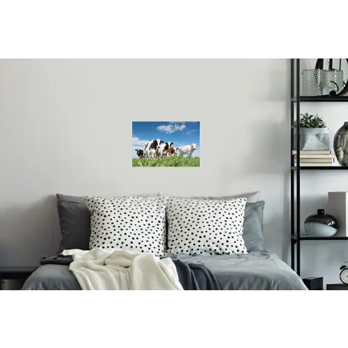 Koeien - Platteland - Weiland - Natuur - Dieren Muursticker klein -slaapkamer
