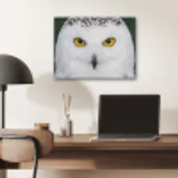 Sneeuwuil - Portret - Geel PET vilt klein -sfeer5