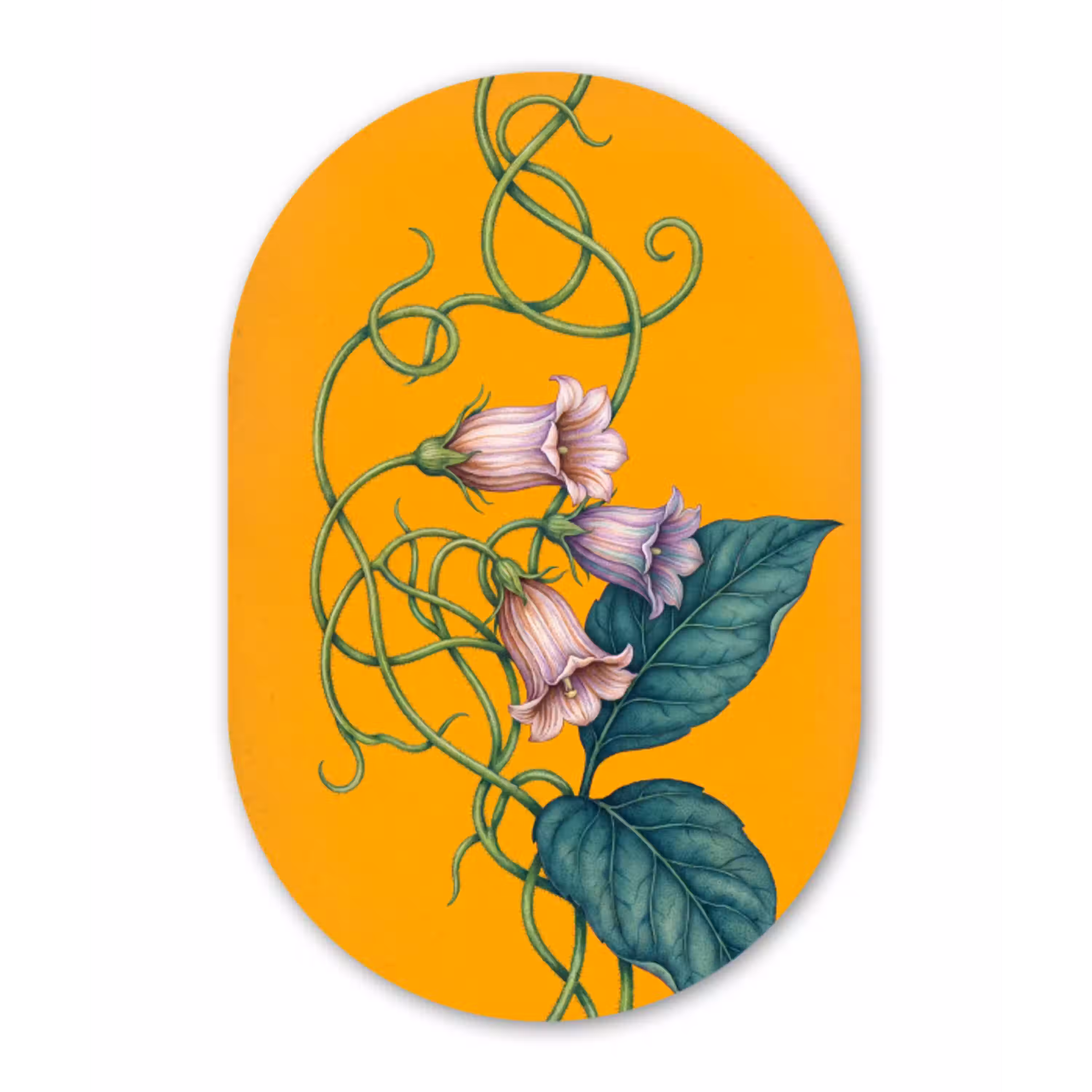 Bloemen - Botanisch - Geel Wandcirkel Ovaal Aluminium middel -3d