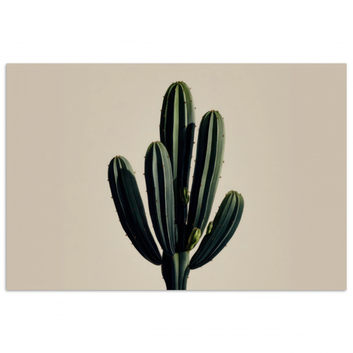 Cactus - Subtiel - Groen poster papier klein -3d