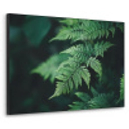 Varenblad - Groen - Structuur - Wazig Textielframe - compleet frame klein -3d