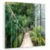 Jungle - Palmboom - Brug - Natuur - Planten plexiglas 5mm klein -zzzproduct_nieuw