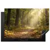 Zonlicht - Bospad - Bomen Inductie beschermer vinyl 3mm klein -3d
