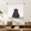Kind - Aap - Chimpansee - Baby dieren - Jongens - Meiden Wandkleed katoen klein -sfeer5