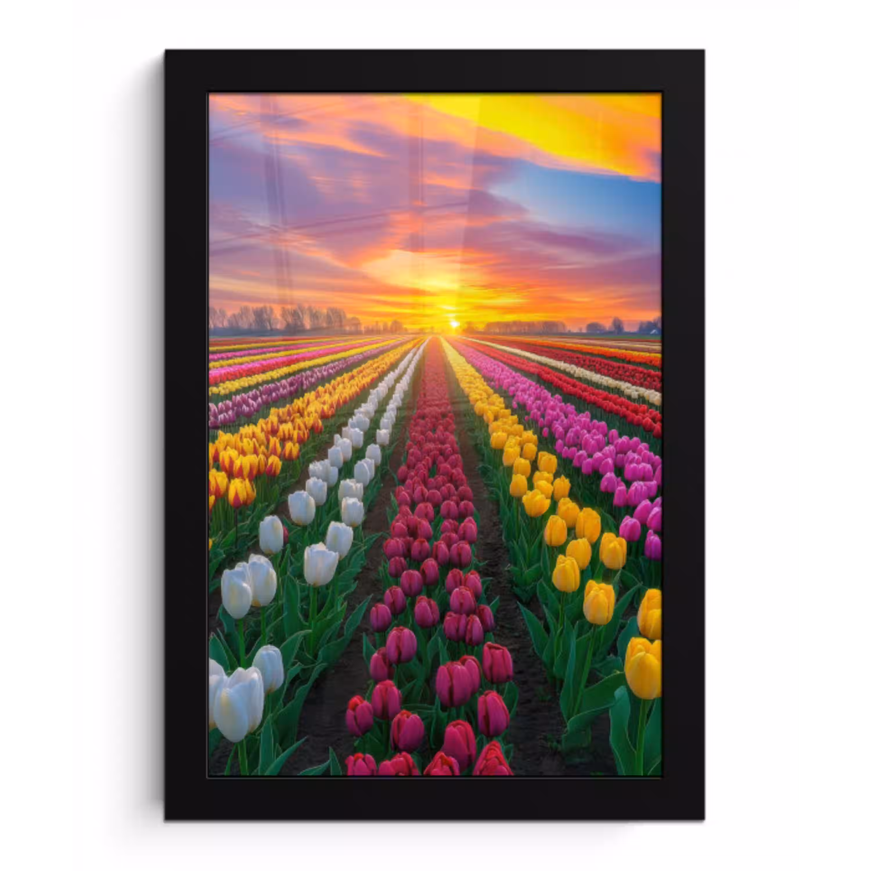 Tulpenveld - Zonsondergang - Kleurrijk fotolijst zwart zonder passe partout klein -3d