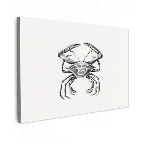 Ernst Haeckel - Vintage - Kunst - Krab canvas 2cm klein -z3d