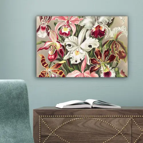 Bloemen - Ernst Haeckel - Vintage - Orchidee canvas 2cm klein -sfeer4
