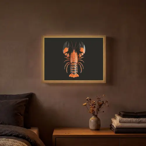 Kreeft - Oranje - Zwart - Modern Light Box met batterij (Wandlamp) middel -sfeer4