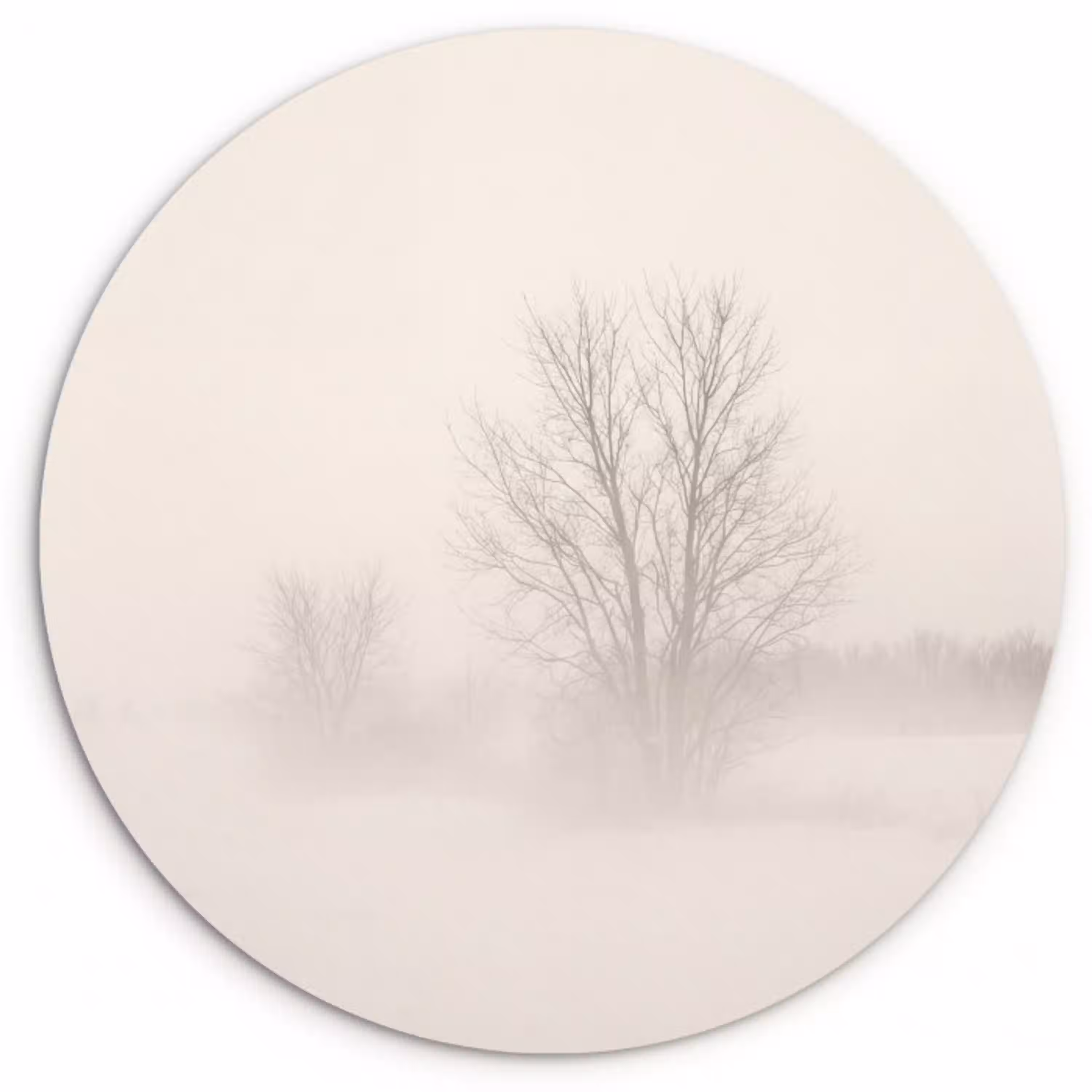 Boom - Mist - Sneeuw - Winter - Minimalistisch Wandcirkel kunststof plaat 5mm dik klein -3d