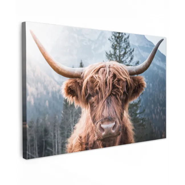 Schotse hooglander - Bergen - Portret canvas 2cm klein -z3d