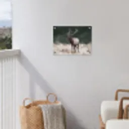 Edelhert - Gewei - Schildering - Rustiek tuinposter los doek klein -sfeer8