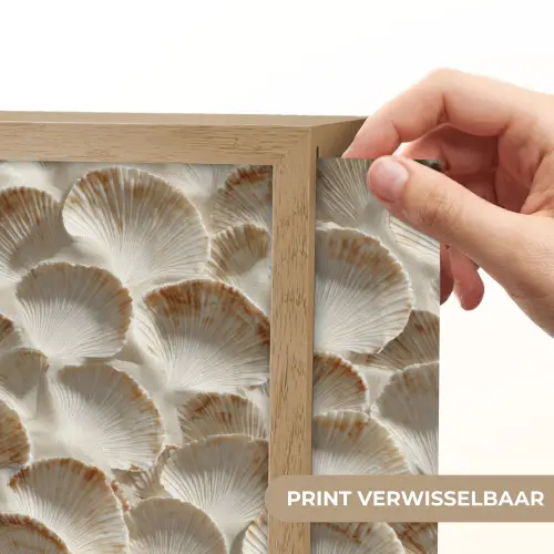 Schelpen - Waaiervorm - Wit Light Box met batterij (Wandlamp) middel 907 -USP_websiteprintNL