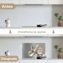 Bloem - Glazen - Doorzichtig keuken achterwand spatscherm klein -voor_na_ES