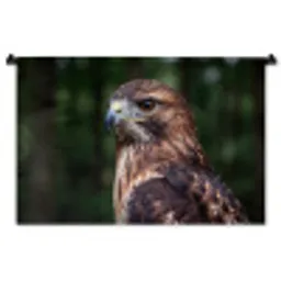 Buizerd - Roofvogel - Natuur - Bruin Wandkleed katoen middel -zz3d