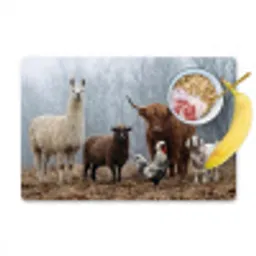 Boerderijdieren - Groep - Mist - Natuur - Rustiek Placemat vinyl groot -zzzproduct_Kitchenyeah-website
