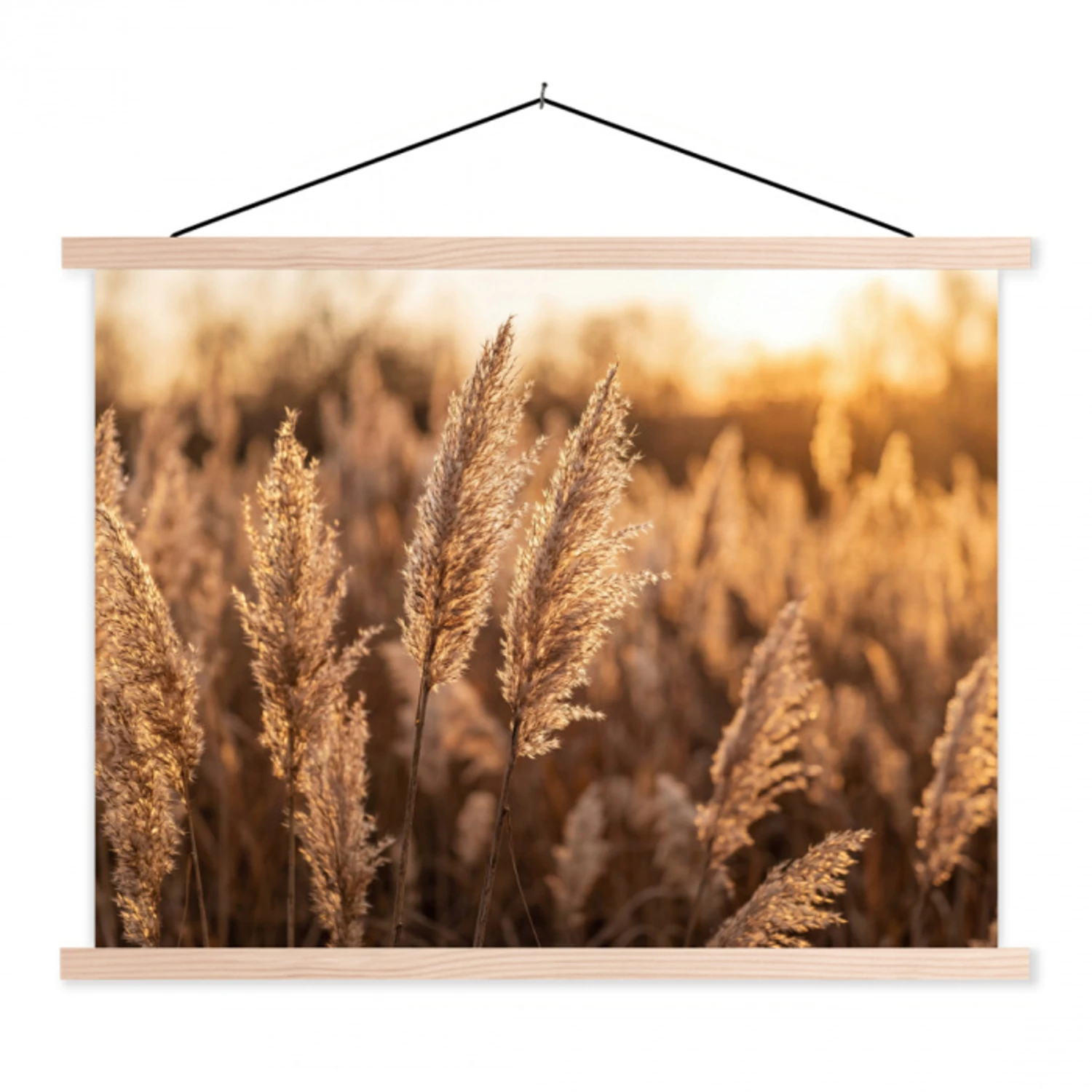 Rietpluimen - Gras - Zonsondergang - Goud - Serene textielposter latten blank klein -3d