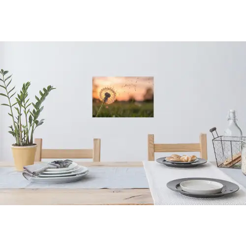 Paardenbloem - Zonsondergang - Veld Muursticker klein -eettafel