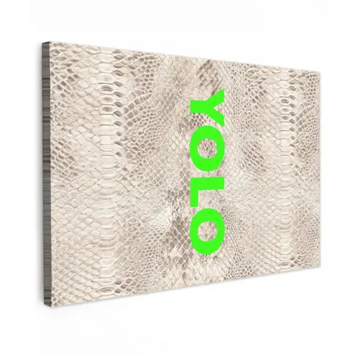 YOLO - Groen - Neon - Slangenprnt Tuinposter op houten frame 2 cm dik klein -3d
