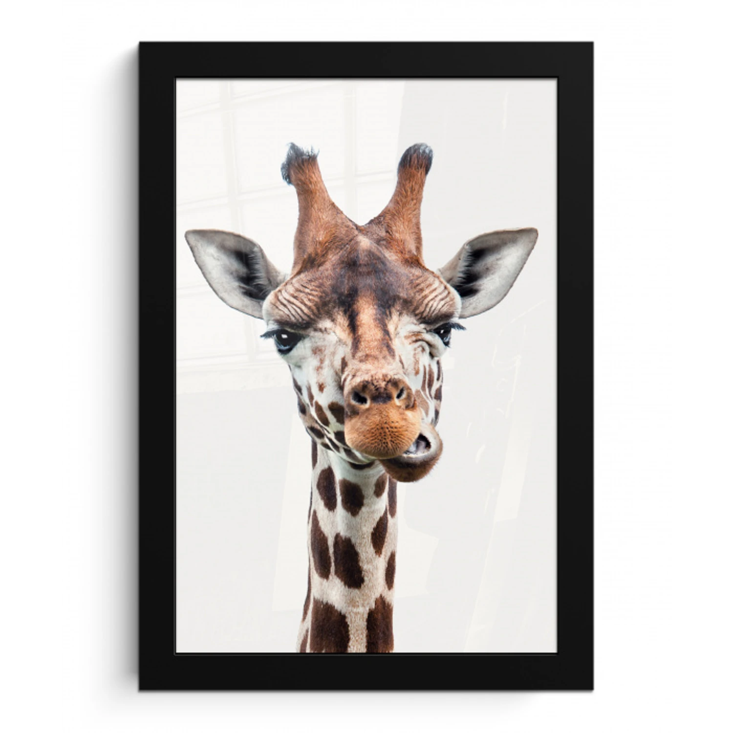 Jongens - Giraffe - Dieren - Kop - Portret - Kind - Meisjes fotolijst zwart zonder passe partout klein -3d