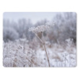 Schermbloem - Rijp - Kristallen - Winter - Delicaat muismat rubber klein -3d