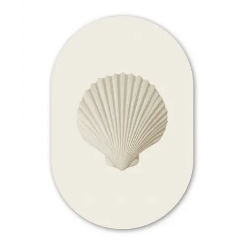 Schelp - Minimalistisch - Wit Wandcirkel Ovaal Forex klein -3d