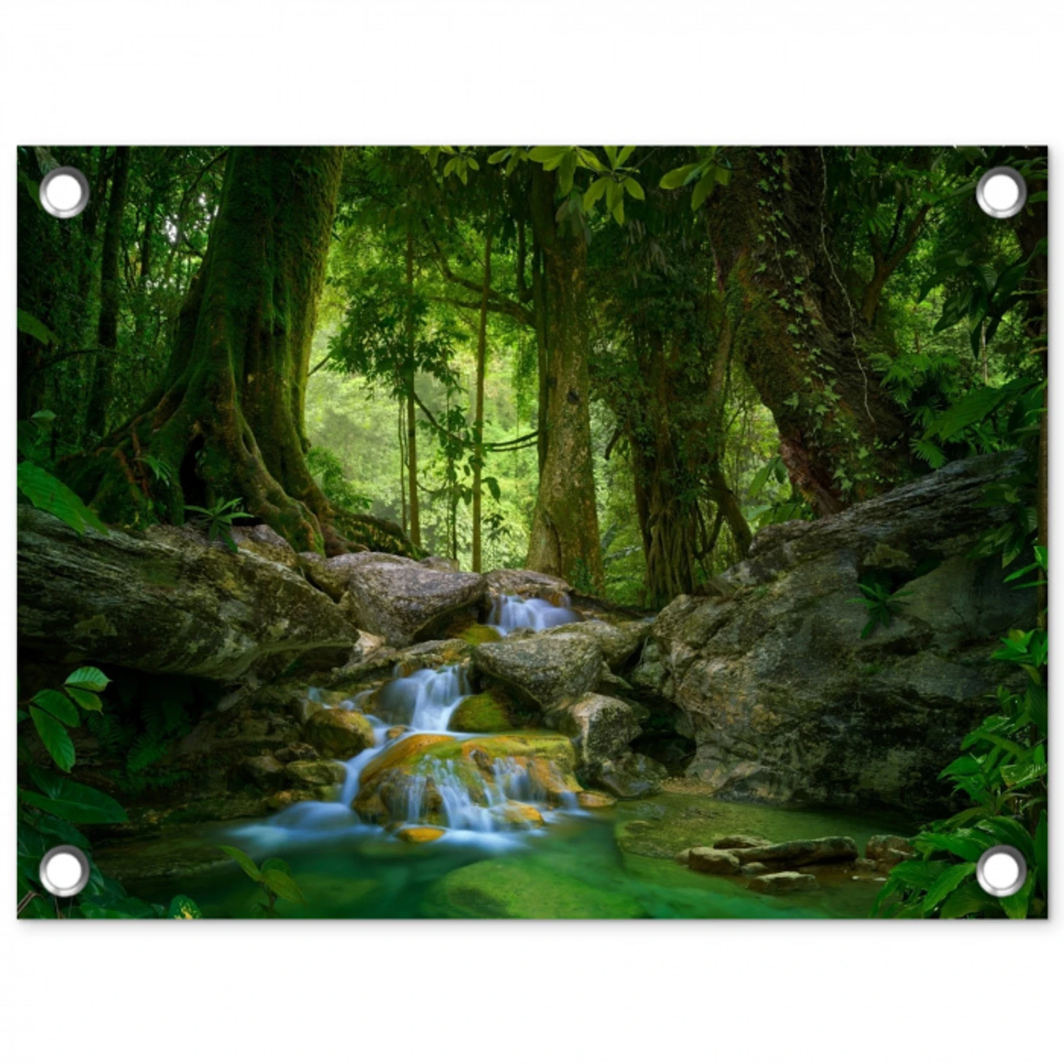 Waterval in het Regenwoud tuinposter los doek klein -3d