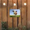 Koe - Dieren - Bloemen - Gras tuinposter los doek klein -sfeer1