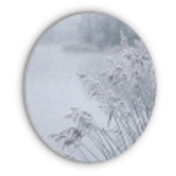 Riet - Bevroren - Winter - Natuur Akoestische PET Vilt - Rond klein -3d