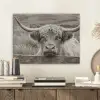Schotse hooglander - Zwart - Wit - Hout PET vilt klein -sfeer1